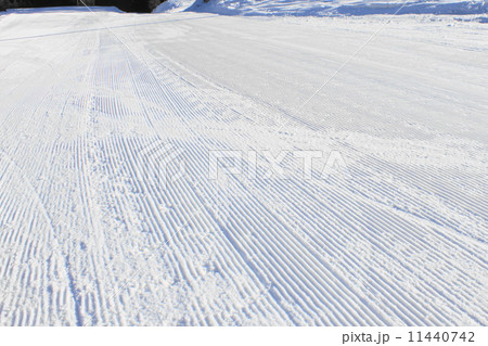 朝のゲレンデ 11440742