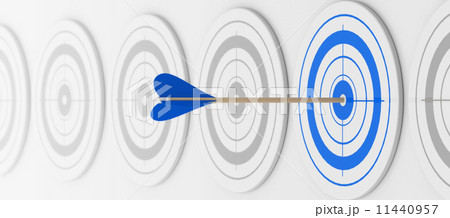 the blue target 11440957