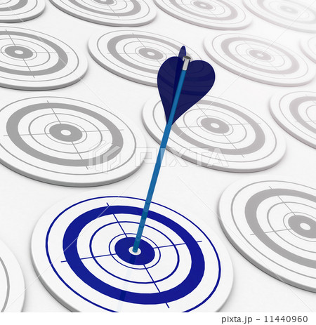 the blue target the blue target 11440960