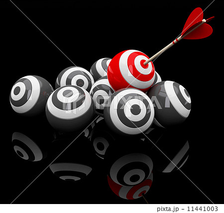the target 11441003
