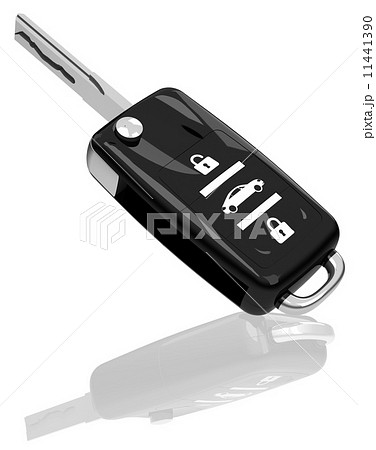 the car key 11441390