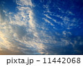 夕焼け空 11442068