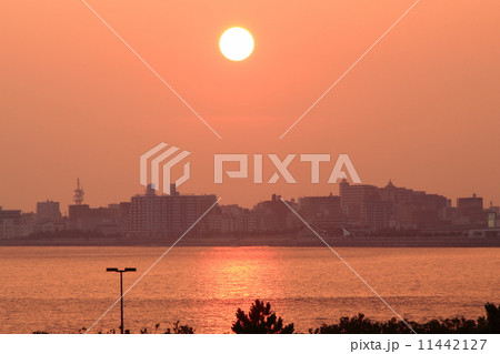 夕日 11442127