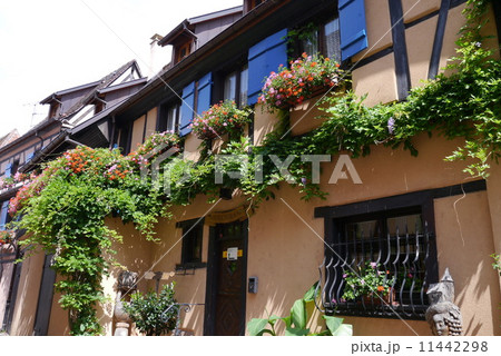 フランス　アルザス地方の小さな町エギスアイム 11442298