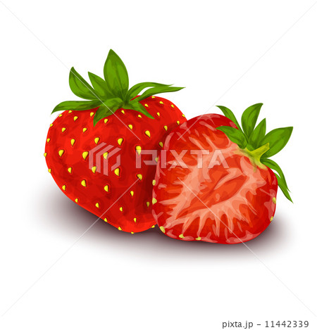 Strawberry isolated poster 11442339