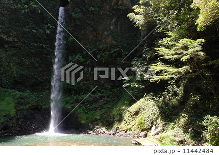 日南市酒谷地区・小布瀬の滝 日南市酒谷地区・小布瀬の滝 11442484