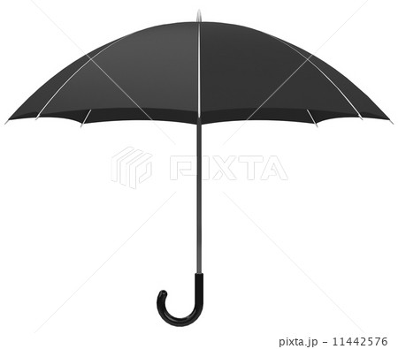 the umbrella 11442576