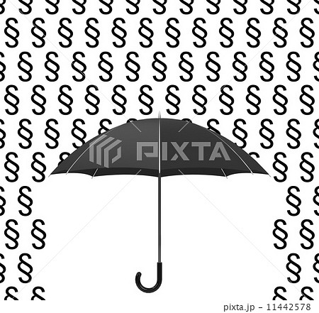 the insurance protection 11442578