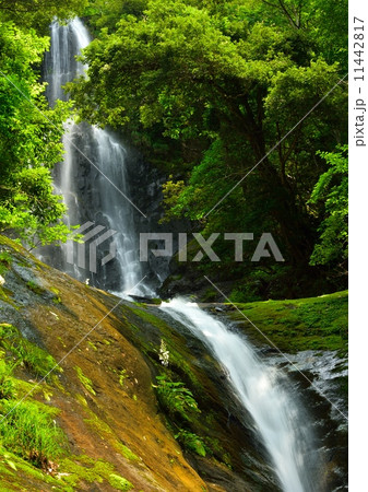 猿尾滝(全景) 猿尾滝(全景) 11442817