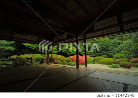 詩仙堂の庭園 11442849