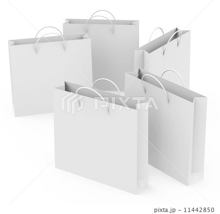 the shopping bags 11442850