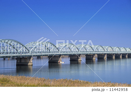 尾張大橋 11442958