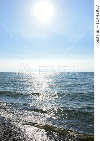 きらめく琵琶湖 11442967