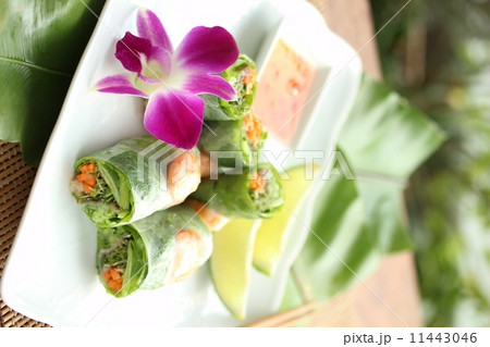 生春巻き 11443046