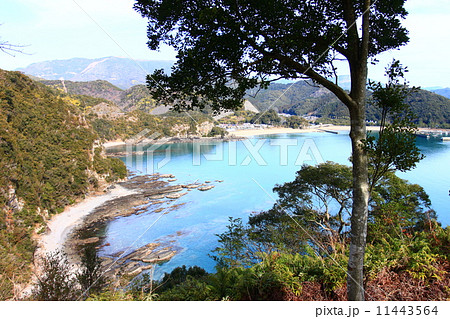 七ッ島展望所からの眺め 七ッ島展望所からの眺め 11443564