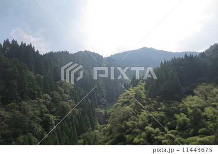 夏山脈 夏山脈 11443675
