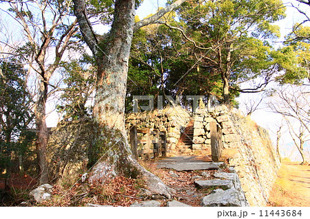 佐伯城跡 11443684