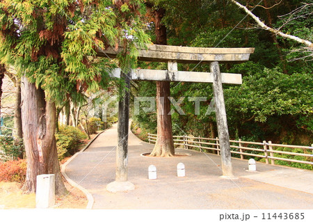 佐伯城跡 11443685