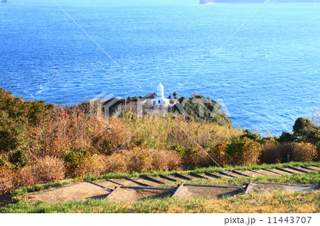 大分 関崎灯台 大分 関崎灯台 11443707