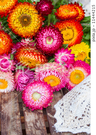 Bouquet of Everlasting flowers on table Bouquet of Everlasting flowers on table 11444215