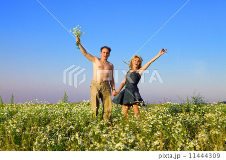 The happy young pair in the field of chamomiles 11444309