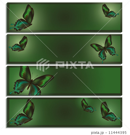 Set of beautiful banner with green butterflies Set of beautiful banner with green butterflies 11444395