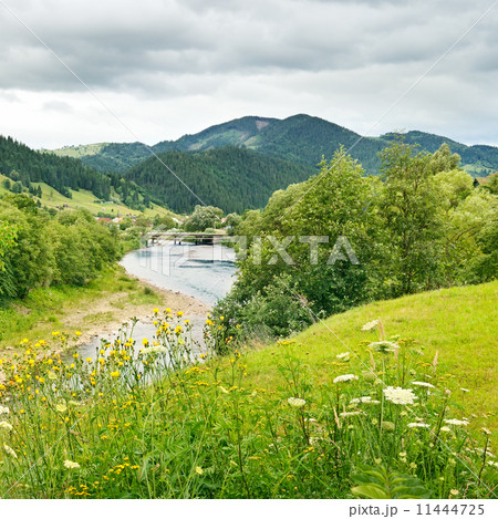 River in the mountains 11444725