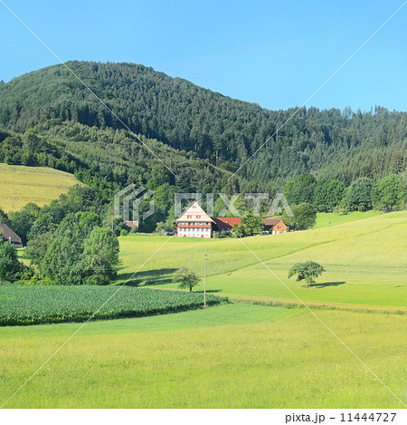 House in the mountains 11444727