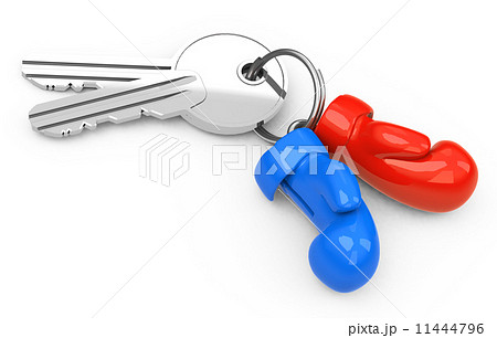 Keys with boxing gloves 11444796