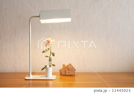 電気スタンド、灯り 11445023