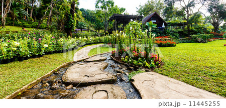 Panorama Landscaping in the garden. Panorama Landscaping in the garden. 11445255