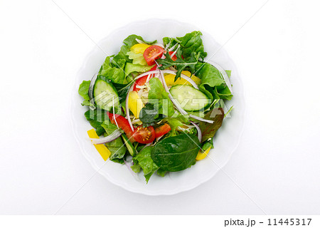 サラダ 11445317
