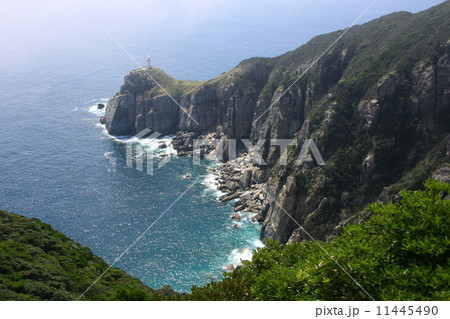 大瀬崎断崖 11445490