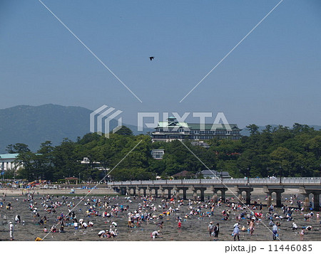 蒲郡・竹島 11446085