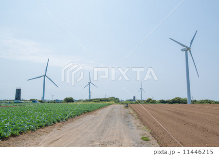 風力発電 風力発電 11446215