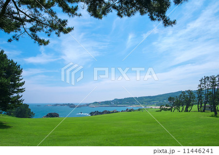 夏の種差海岸 11446241