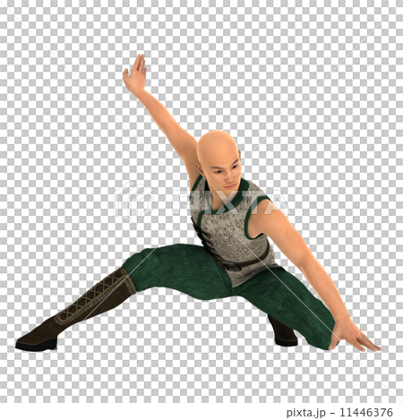 Kung Fu Master 11446376