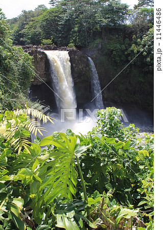 Rainbow Falls in Big Island Rainbow Falls in Big Island 11446486