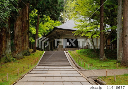 中尊寺・金色堂 11446637