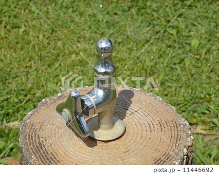 公園の水道 11446692