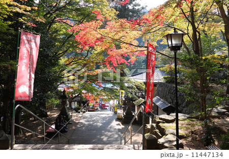 秋の四国霊場第88番札所「大窪寺」山門（二天門）前の紅葉 11447134