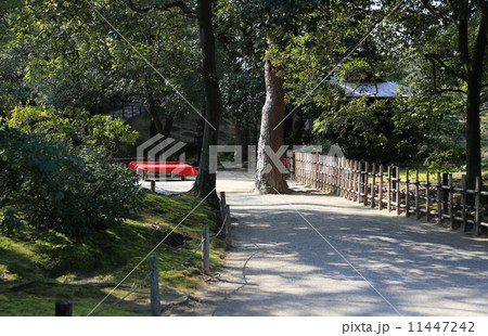 栗林公園南庭の花園亭付近 11447242