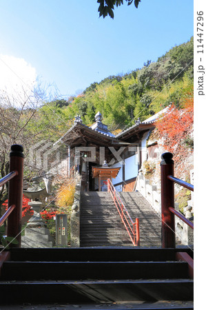 四国霊場第71番札所、晩秋の「弥谷寺」大師堂 11447296