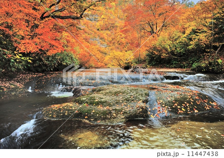 錦秋の赤水沢 11447438