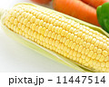 とうもろこし 11447514