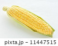 とうもろこし 11447515