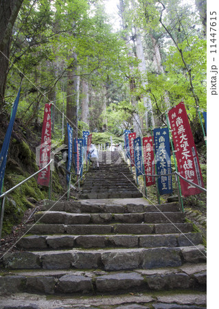 四国霊場４５番札所岩屋寺 11447615