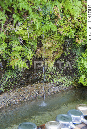 四国霊場４５番札所岩屋寺 11447616