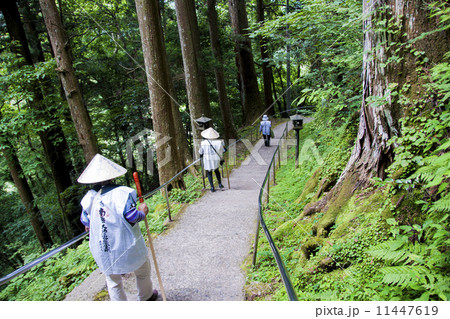 四国霊場４５番札所岩屋寺 11447619