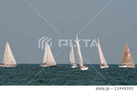 ヨットレース 11448305